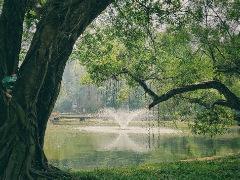  Vườn Bách Thảo Songyuan: Một Điểm Hẹn Hò Vô Tình Với Thiên Nhiên và Khám Phá Biểu tượng Văn Hóa!